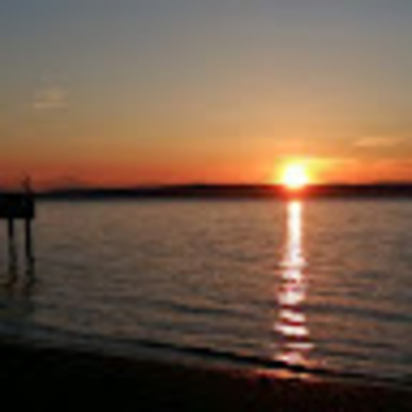 Meet your Posher, Gabriela - Picture 1 of 1